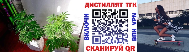 ТГК вейп блэк спрут зеркало Асино