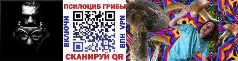 Псилоцибиновые грибы Psilocybine cubensis  Асино 